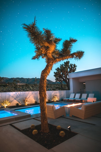 Understanding Airbnb Regulations