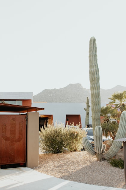 Leveraging Technology for Your Airbnb